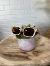 VogueVista Sunnies In White Tortoise