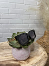 VogueVista Sunnies In Black