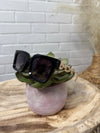 VogueVista Sunnies In Black