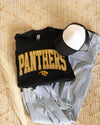 Panthers Embroidered Pullover
