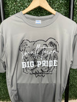 Big Pride School Spirit Tee