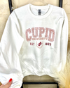 Cupid University Pullover