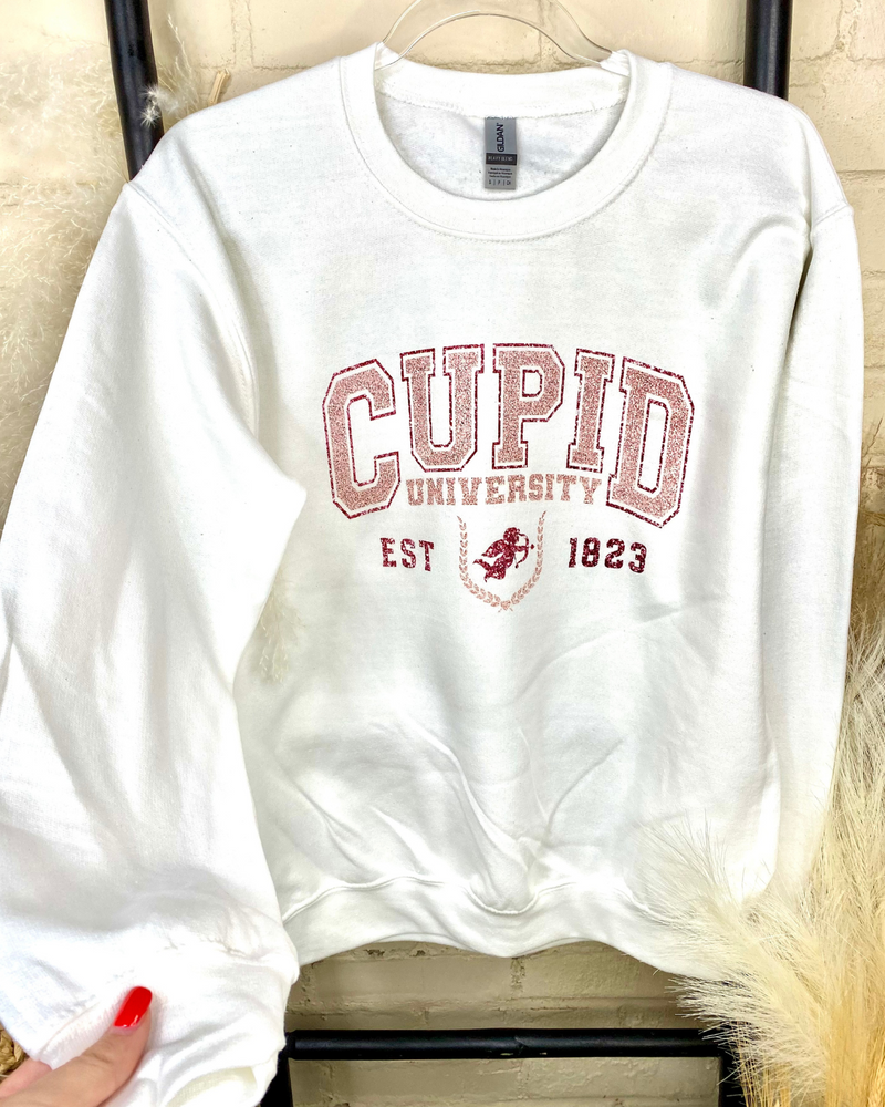 Cupid University Pullover