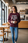 Embroidered Sweatshirt In Maroon
