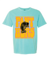 Panthers Loud and Proud Spirit Tee